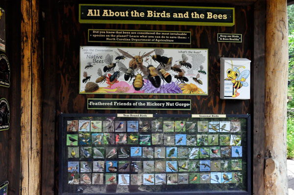 sign about the Birds and the Bees